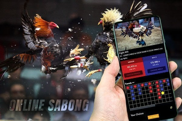 introduction sabong web